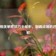和平精英攀爬技巧全解析，制霸战场的进阶攻略