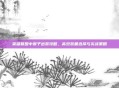 英雄联盟中猴子出装攻略，高效装备选择与实战策略
