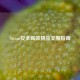 Steam安全高效物品交易指南