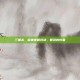 三国杀，晓果策略对决，智慧的较量
