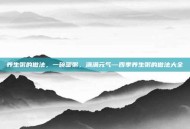 养生粥的做法，一碗暖粥，满满元气—四季养生粥的做法大全