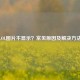 LOL图片不显示？常见原因及解决方法