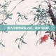 盲人玩家的荣耀之路，挑战与成就
