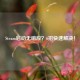 Steam启动无响应？6招快速解决！