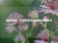 暗夜妖姬，大乔的致命诱惑与暗黑美学