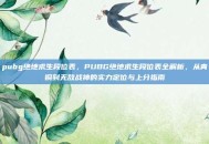 pubg绝地求生段位表，PUBG绝地求生段位表全解析，从青铜到无敌战神的实力定位与上分指南