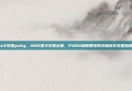 a卡设置pubg，AMD显卡玩家必看，PUBG帧数暴涨的终极优化设置指南