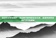 信息系统等级保护，筑起数字世界的安全长城，信息系统等级保护全方位解析