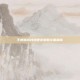 王朝霸域封地建设策略全面解析