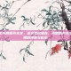 lol 手游光明哨兵龙女，圣火焚尽暗裔，光明哨兵龙女—希瓦娜的挣脱与新生