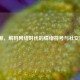 LOL撇，解码网络时代的情绪符号与社交密码