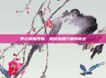 野心附魔卷轴，解锁未知力量的秘密