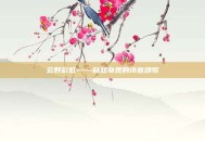 云野彩虹——自然奇观的诗意颂歌
