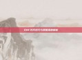 DNF双开技巧与策略深度解析
