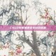 CSGO玩家遭遇安全游戏难题