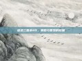 迷惑三国杀49,策略与智慧的较量