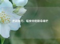 逆战黑刃，暗夜中的致命锋芒