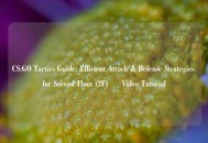 CS:GO Tactics Guide: Efficient Attack & Defense Strategies for Second Floor (2F) – Video Tutorial