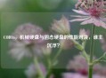 COD16，机械硬盘与固态硬盘的性能对决，谁主沉浮？