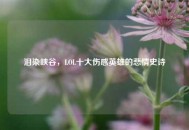 泪染峡谷，LOL十大伤感英雄的悲情史诗