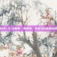CSGO 5.14更新，新特性、改进与玩家体验提升