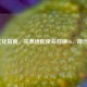 N卡优化指南，完美适配使命召唤16，现代战争
