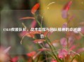 CSGO救援队长，战术指挥与团队精神的卓越融合