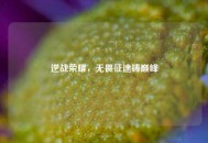 逆战荣耀，无畏征途铸巅峰