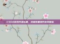 CSGO游戏升级必备，终极装备提升游戏体验