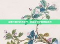 胡莱三国中的洗髓丹，揭秘游戏中的神秘道具