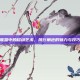 英雄联盟中的移动艺术，风行角色的魅力与技巧解析