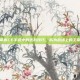 掌握CF手游中的近战技巧，成为战场上的主宰