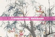 CF英雄级武器全解析，探索与选择指南