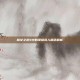魔女之泉4中的项链商人角色解析
