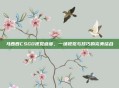 马西西CSGO视觉盛宴，一场视觉与技巧的完美结合