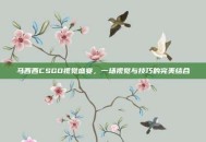 马西西CSGO视觉盛宴，一场视觉与技巧的完美结合