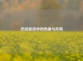 逆战歌词中的热血与共鸣