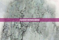 王者荣耀中的肉盾英雄解析