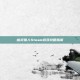 幽灵猎人Steam游戏攻略指南