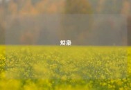 烬枭