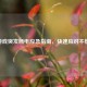 CF游戏突发断电应急指南，快速应对不慌乱