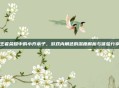 王者荣耀中的小乔本子，游戏内角色的深度解析与体验分享