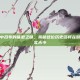 王者荣耀中吕布的体型之谜，揭秘这位历史名将在游戏中的真实大小