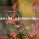 三国杀十周年，经典IP的传承与创新之路