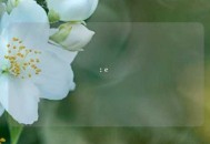 평화의 엘리트 결승전: e스포츠를 통한 문화 교류의 축제