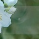 평화의 엘리트 결승전: e스포츠를 통한 문화 교류의 축제
