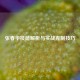 张春华技能解析与实战克制技巧