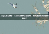 csgo怎么加密，CSGO账号安全指南，如何加密保护你的游戏资产