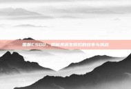 国服CSGO，揭秘其诞生背后的故事与挑战