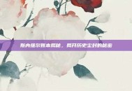 斯内维尔账本揭秘，揭开历史尘封的秘密